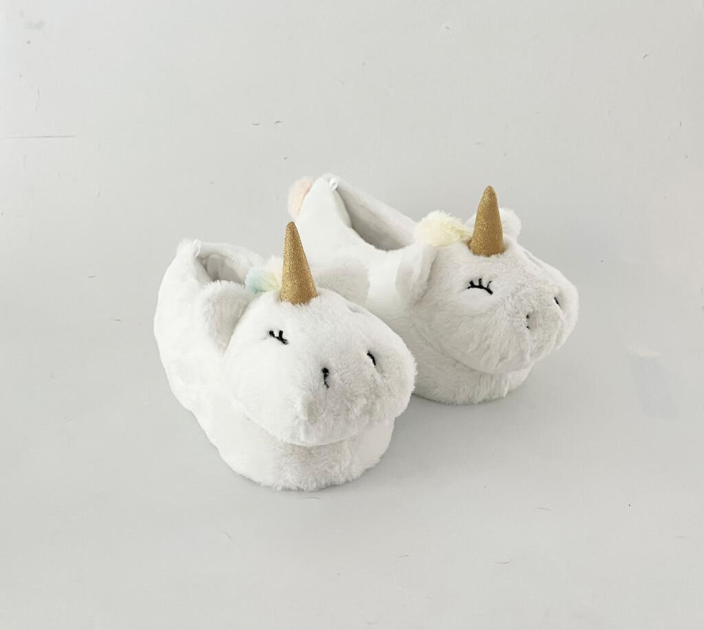 NOVELTY SLIPPERS