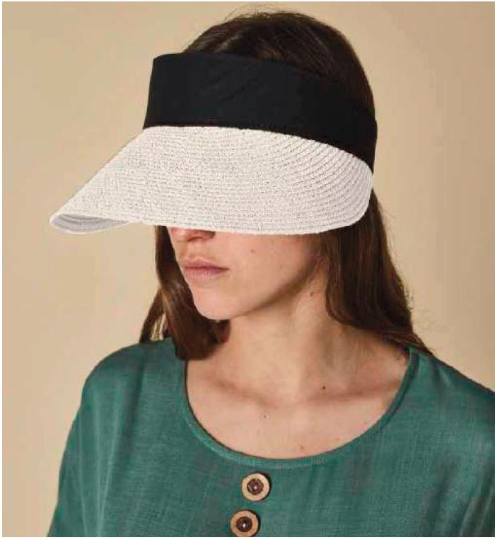 SUN VISOR