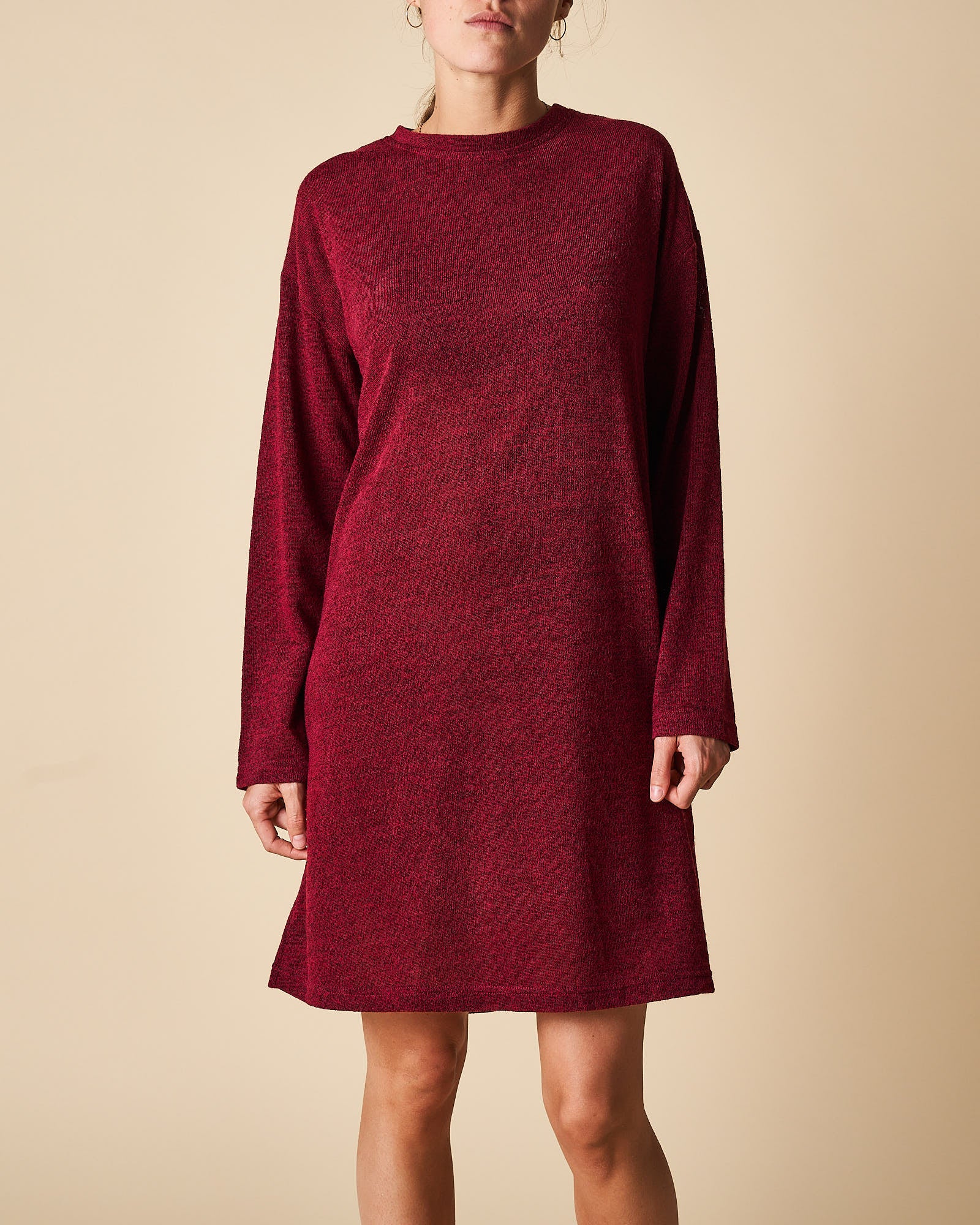 Tunic Dress With Turtle Neck